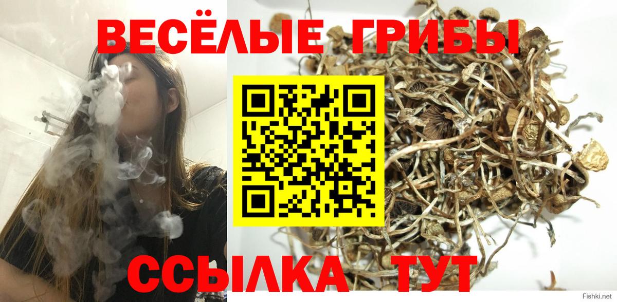 Галлюциногенные грибы Magic Shrooms  Вход с VPN  Дзержинск 